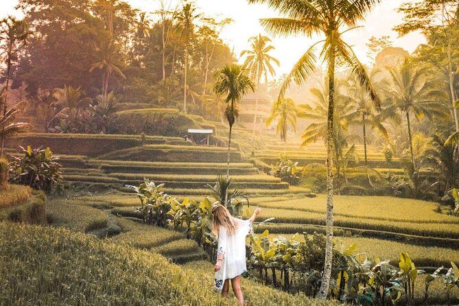 Bali Ubud private Tour with Ubud Bali Driver - FREE WIFI - Private Ubud touring starts with pickup and a comfortable A/C car