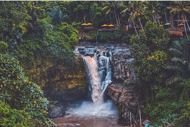 Bali Ubud private Tour with Ubud Bali Driver - FREE WIFI - Stop 1: Sacred Monkey Forest Sanctuary (about 1 hour)