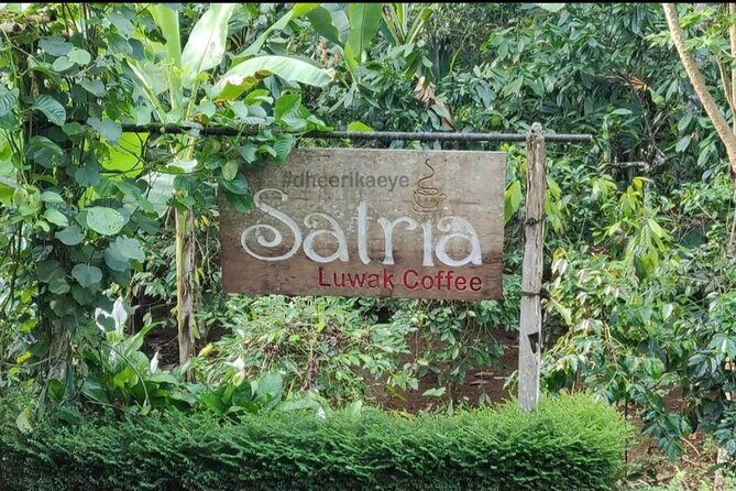 Bali Ubud private Tour with Ubud Bali Driver - FREE WIFI - Stop 5: Barong Dance & Fire Dance (about 1 hour) for real performance culture