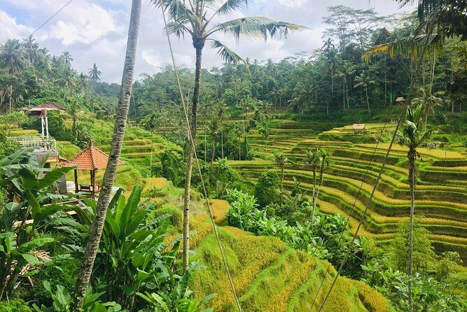 Bali Ubud Tour - Your day plan in plain English (and how long you’ll actually spend)