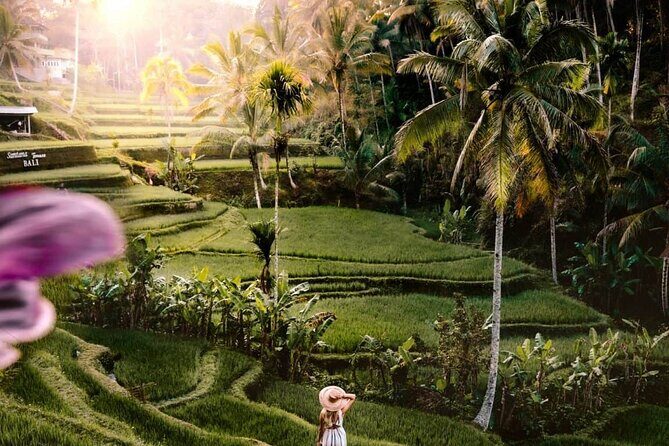 Bali Ubud Tour: Monkey Forest, Waterfall & Rice Terrace - Stop 2: Tegalalang Rice Terrace for real viewing time