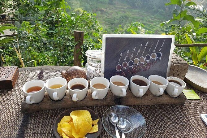 Bali Ubud Tour: Monkey Forest, Waterfall & Rice Terrace - Stop 3: Bali Pulina Coffee Plantation with a process-and-taste focus