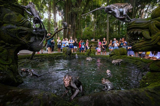 Bali Ubud Zipline, Monkey Forest and Waterfall Adventure - Sacred Monkey Forest Sanctuary: Seeing Macaques the Smart Way