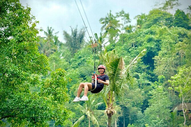 Bali Ubud Zipline, Monkey Forest and Waterfall Adventure - Price and Value: Is $27.36 a Good Deal?