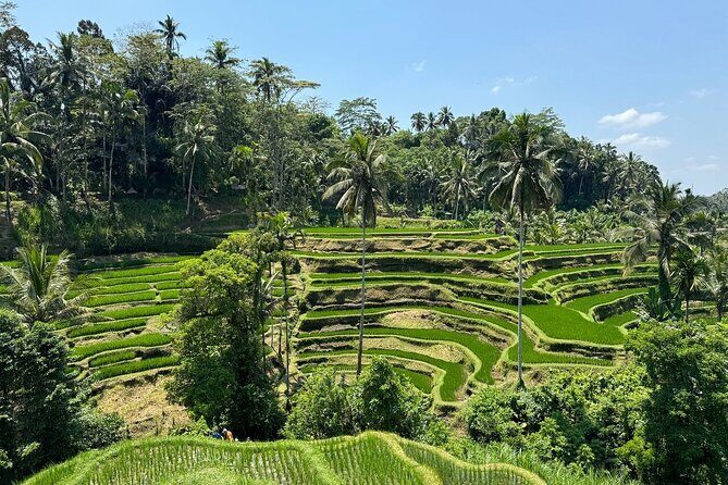 Bali Volcano & Ubud Day Tour – Temples, Rice Terraces & Lunch - Celuk Village: watch the metalwork and crafts in motion