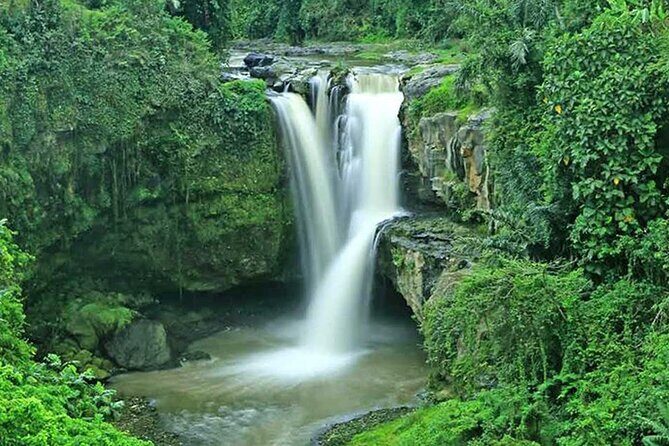 Bali Volcano & Ubud Day Tour – Temples, Rice Terraces & Lunch - Buffet lunch with volcano views: simple, scenic, and filling