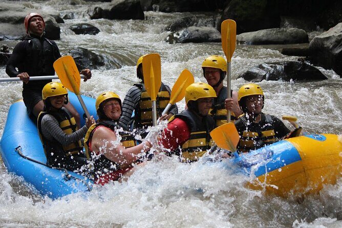 Bali White Water Rafting Adventure at Ayung River Bali - The scenery you’ll notice: rice paddies, rainforest, waterfall views, cliff carvings