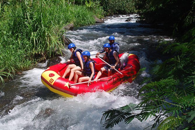 Bali White Water Rafting at Telaga Waja River - Two Hours on the Water: Paddling Class III and IV to a Waterfall Drop