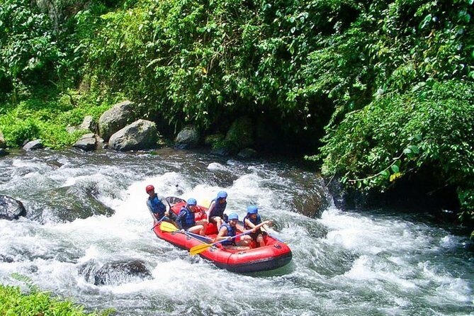 Bali White Water Rafting at Telaga Waja River - Price and Value: Is $39.39 a Fair Deal?