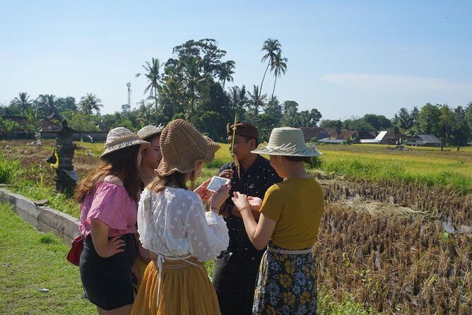 Balinese Traditional Food Cooking Class with Ubud Monkey Forest and SPA - Price and Logistics: What Your $135 Covers in a 10-Hour Plan