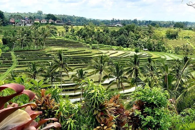 Beji Griya Waterfall Bali Spritual Holy Bath Experience - When to go and the one rule that stops participation