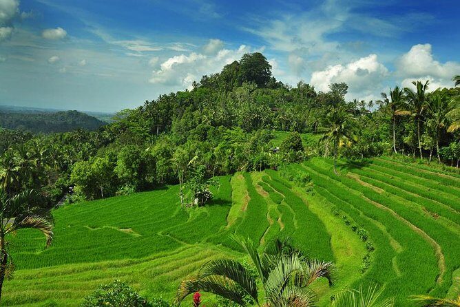 Besakih Temple Tour - Mother Temple in Bali - Besakih Temple: the mother temple feeling, with Mt. Agung as the backdrop