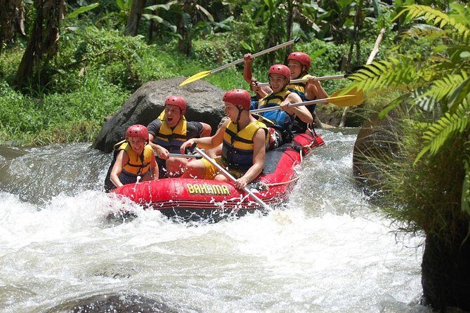 Best Bali Ayung River Rafting with Lunch - Booking tips for a smoother day on the Ayung