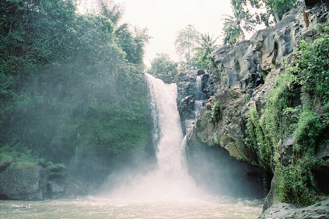 Best Day Tour - #1 Ubud Top Attraction - Price and value: why $38 can make sense here