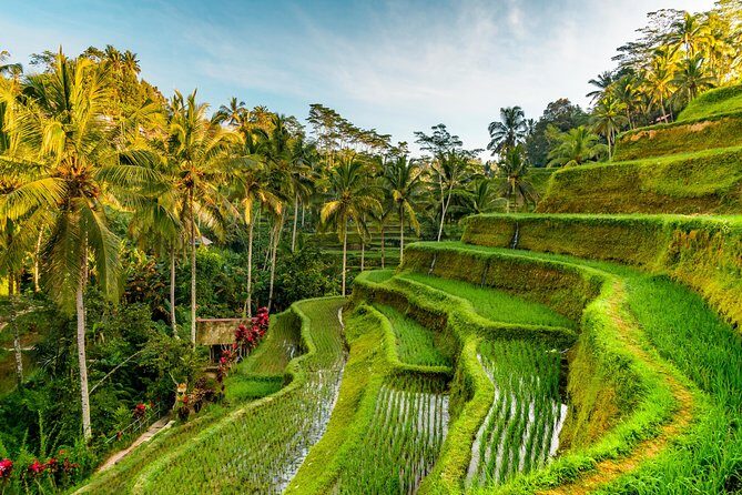 Best of Authentic Balinese Tour - Ubud arts villages: wood, silver, and the line between craft and sales