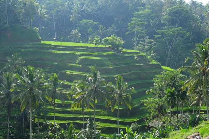 Best of Bali Private Shore Excursions - Gunung Kawi Sebatu spring holy water: purification rituals and volcanic pools