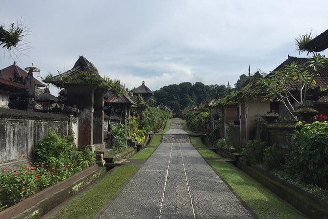 Best of Bali Private Shore Excursions - Tegalalang Rice Terrace: irrigation channels, green views, and a real walking moment