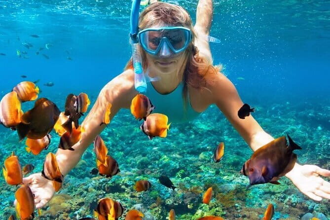 Best of Nusa Penida All-Inclusive Day Trip - Getting the Most from Beaches, Cliffs, and Rock Pools