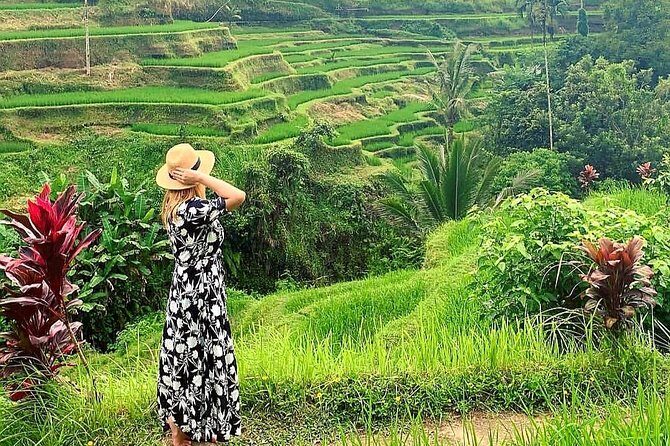 Best of Ubud - Kintamani Volcano View - Private Tour - A One-Day Route That Actually Makes Sense