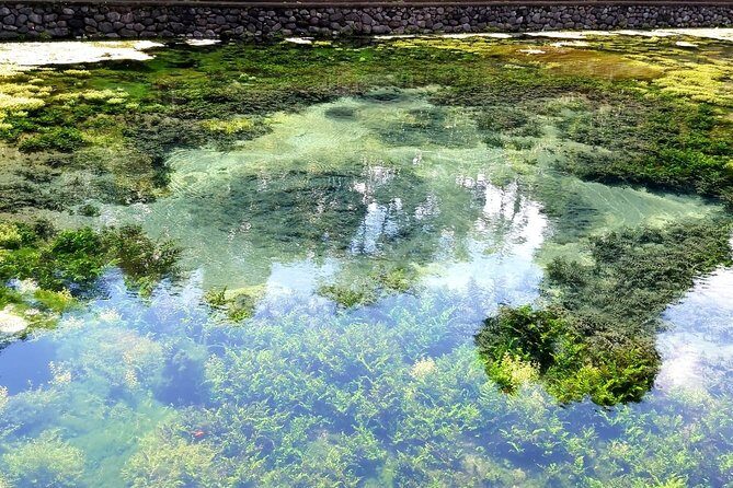 Best of Ubud - Kintamani Volcano View - Private Tour - Tirta Empul Temple: Holy Spring Water and Purification Rituals