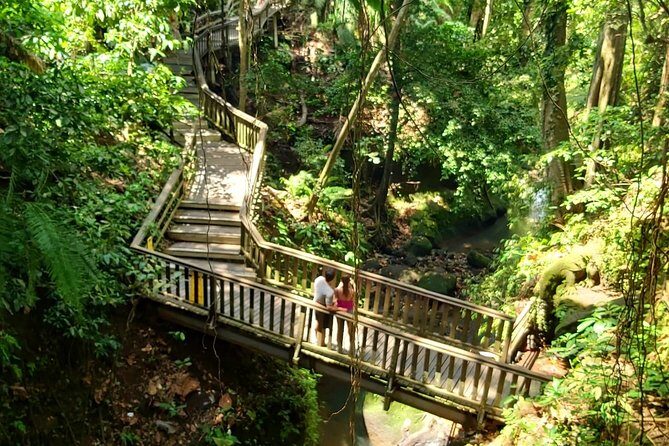 Best of Ubud - Kintamani Volcano View - Private Tour - Monkey Forest Sanctuary: Long-Tailed Macaques on 10 Hectares