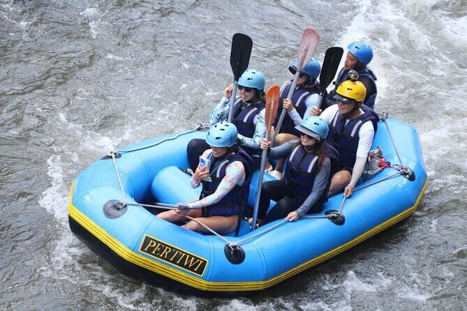 Best Of Ubud Rafting And Swing All Inclusive - Tampaksiring Garden Stop: Tea, Coffee, Flowers, and Herbal Healing Views