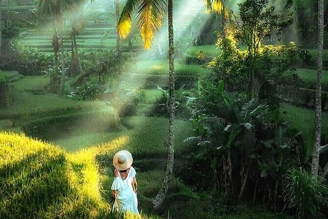 Best of Ubud Tour: Monkey Forest, Rice Terraces & Waterfall - Ulu Petanu Waterfall: A Short Hike with Real Cooling-Down Potential