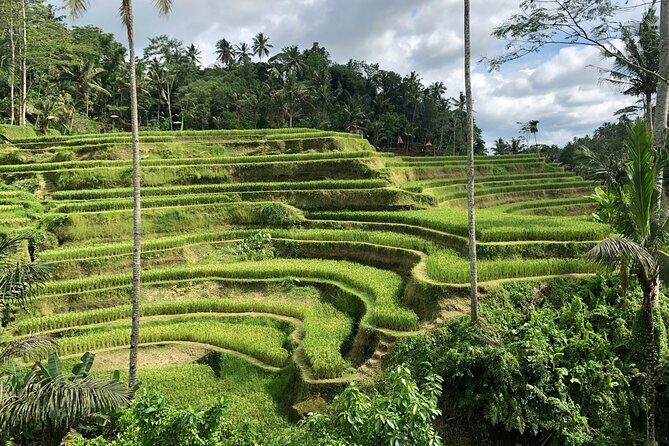 Best of Ubud Village Private Tour with Jungle Swing All Inclusive - Key points to know before you go