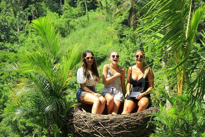 Best of Ubud Village Private Tour with Jungle Swing All Inclusive - Tegalalang Stop + Rice Terrace Time: More Than One Angle on the Same Area