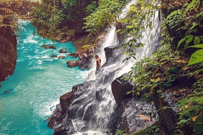 Best Of Ubud Waterfalls, Rice Terrace and Jungle Swing Tour - Tegalalang Rice Terrace Walk: Narrow Paths and Traditional Farming