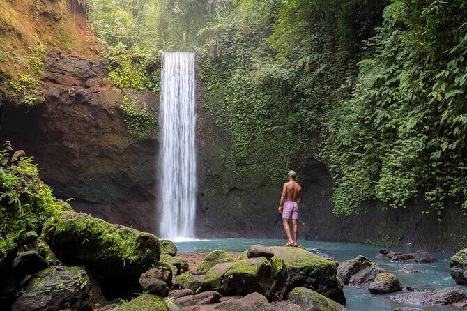 Best of Ubud: Waterfalls, Temple & Rice Terraces Private Day Tour - Tegalalang Rice Terraces: UNESCO-style views with room for photos