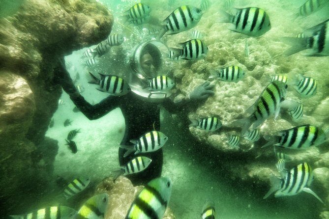 Best Package 3 in One Water Sport - What you’re actually paying for: $95 value check