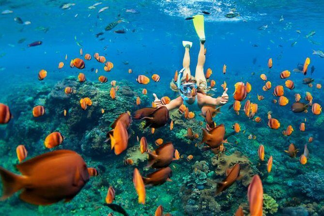Best Snorkeling Trip at Blue Lagoon Bali - Blue Lagoon Beach: What Stop One Feels Like In Real Life