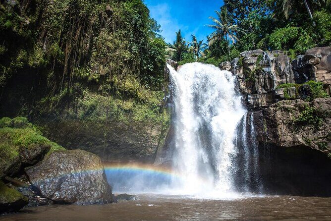 Best Ubud Tour with Instagrammable Jungle Swing all inclusive - Kintamani and Mount Batur caldera views: the reason people make the drive