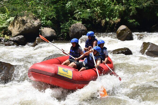 Best White Water Rafting & Lunch, Ubud - Who this rafting trip is best for (and who should think twice)
