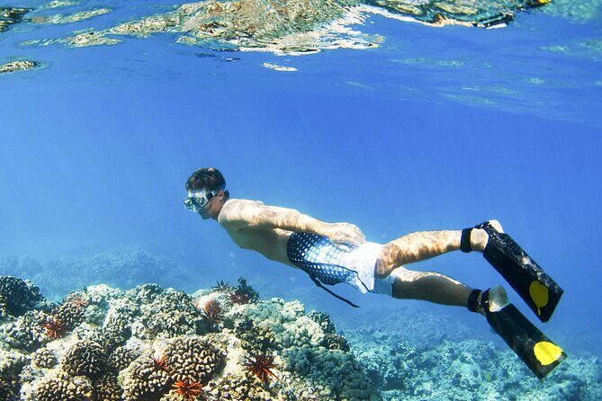 Blue Lagoon Snorkeling and Lunch - Ubud Monkey Forest - Waterfall - Your Snorkel Session: Gear, Guide, and What You’ll Actually Do
