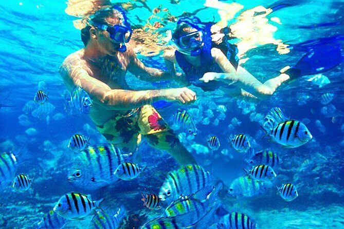 Blue Lagoon Snorkeling and Lunch - Ubud Monkey Forest - Waterfall - Kanto Lampo Waterfall: Scenic Stop with Real-Life Timing