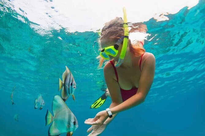 Blue Lagoon Snorkeling and Lunch with Private Transfer - Weather, photos, and small things that can affect your day