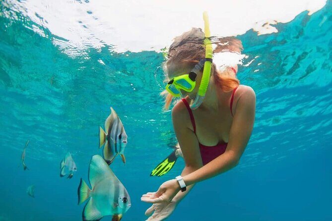 Blue Lagoon Snorkeling and Lunch with Tukad Cepung Waterfall - The Big Picture: Why This East-Bali Day Works