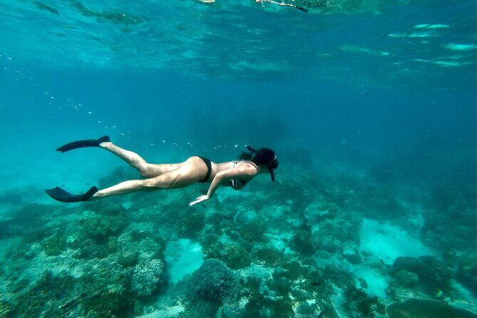 Blue Lagoon Snorkeling and Lunch with Tukad Cepung Waterfall - Starting in Ubud: Pickup, Timing, and What Your Morning Looks Like