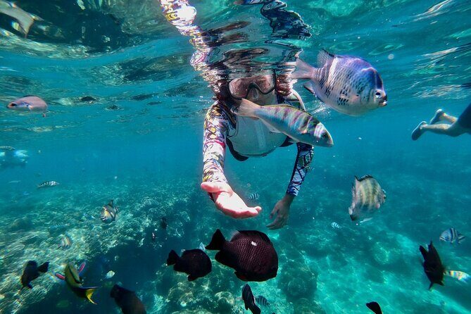 Blue Lagoon Snorkeling and Lunch with Tukad Cepung Waterfall - Cleanup and Lunch at Topi Inn in Padangbai