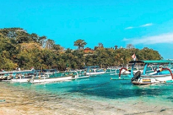 Blue Lagoon Snorkeling and Lunch with Visit Tegenungn Waterfall in Ubud - Pickup and drop-off: where this tour gets convenient