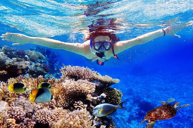 Blue Lagoon & Tanjung Jepun Snorkeling Private Tour - Quick hits: what you’ll care about most
