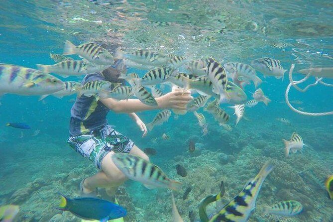 Blue Lagoon & Tanjung Jepun Snorkeling Private Tour - Tanjung Jepun snorkeling: reef time with a second chance to spot fish