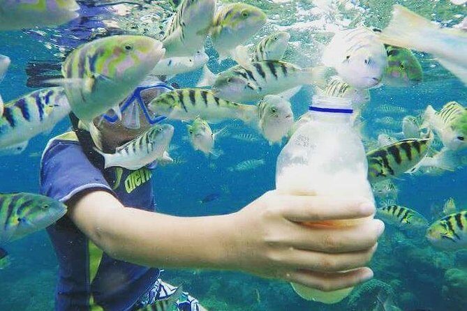 Blue Lagoon & Tanjung Jepun Snorkeling Private Tour - Booking and timing tips (without the fuss)