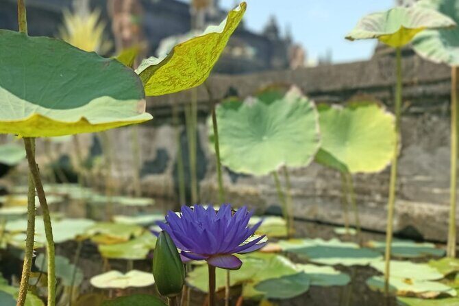 Brahmavihara Arama Banjar Hot Spring Ulundanu Bratan Private Tour - Guide and Driver Setup: Why It Feels More Personal