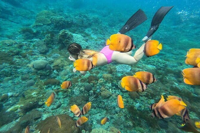 Buggy Bali UTV Adventure in Ubud with optional Hotel Transfer - Snorkeling Around Nusa Lembongan: Where Manta Bay Fits In