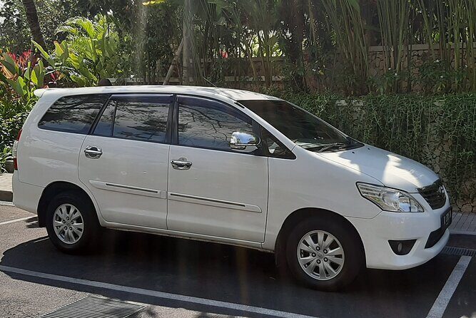 Candidasa Private Car with English Speaking Driver - Sacred Monkey Forest Sanctuary: Great Wildlife Viewing, With Real Rules