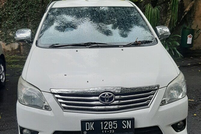 Candidasa Private Car with English Speaking Driver - Tegalalang Rice Terraces: Iconic Views and a Swing Stop