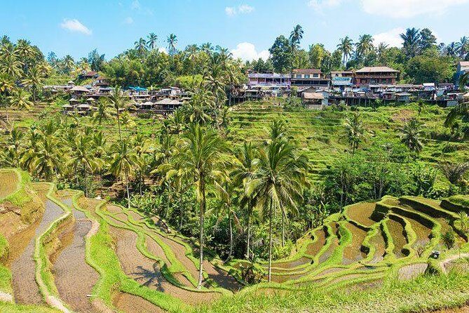Central Bali Tour: Ubud Village, Kintamani Volcano, and Waterfall - Price and value: why $70 can work (if you want all the stops)